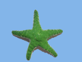 Stella marina Verde