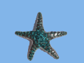 Stella marina verde mare